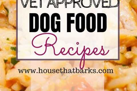 3 Easy Vet Approved Homemade Dog Food Recipes  #dog food recipes, #homemade dog food