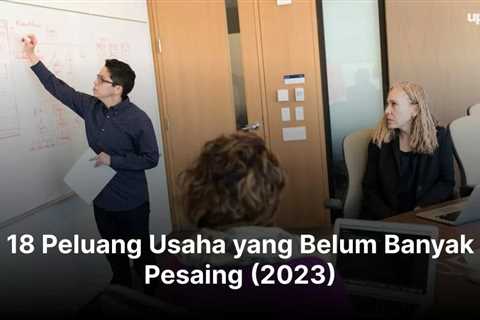 18 Peluang Usaha yang Belum Banyak Pesaing (2023)