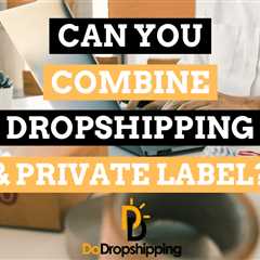 Can You Combine Dropshipping and Private Label in 2023?