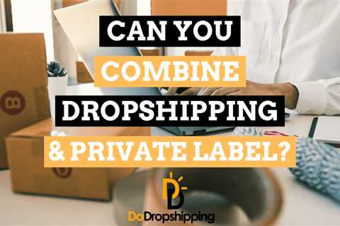 Can You Combine Dropshipping and Private Label in 2023?