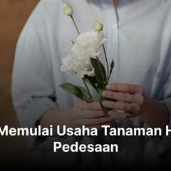 6 Cara Memulai Usaha Tanaman Hias di Pedesaan